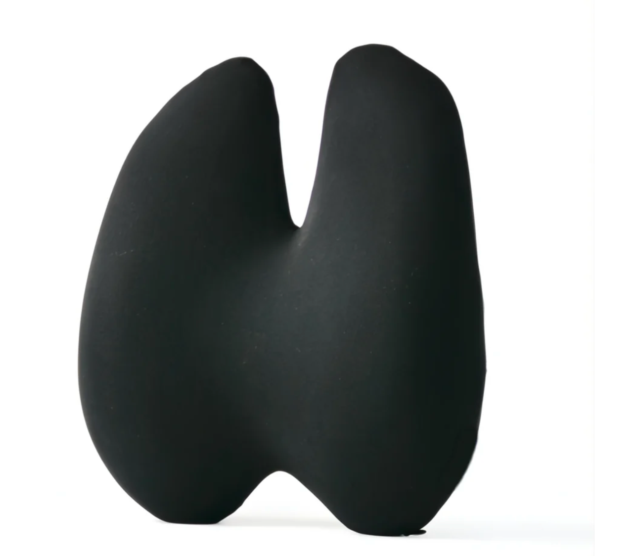 Lumbar Support Cushion